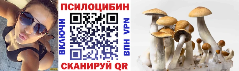 OMG tor  Красноперекопск  Галлюциногенные грибы GOLDEN TEACHER  магазин  наркотиков 